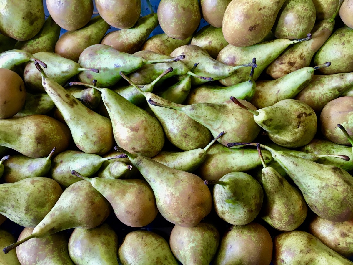 fullsizeoutput_1a1ae