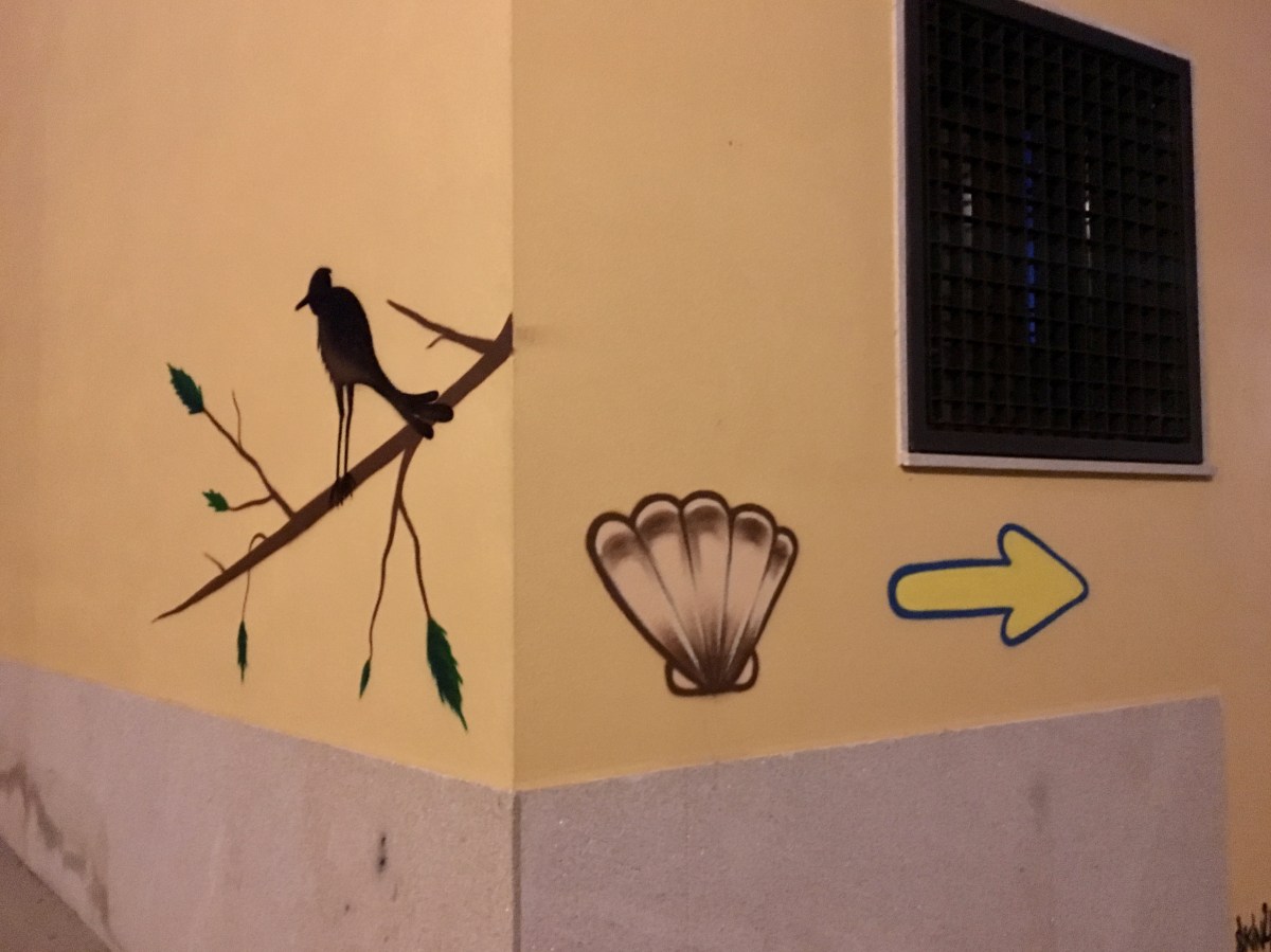 fullsizeoutput_1a1d7