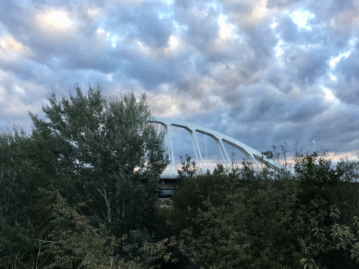 fullsizeoutput_1a1d9