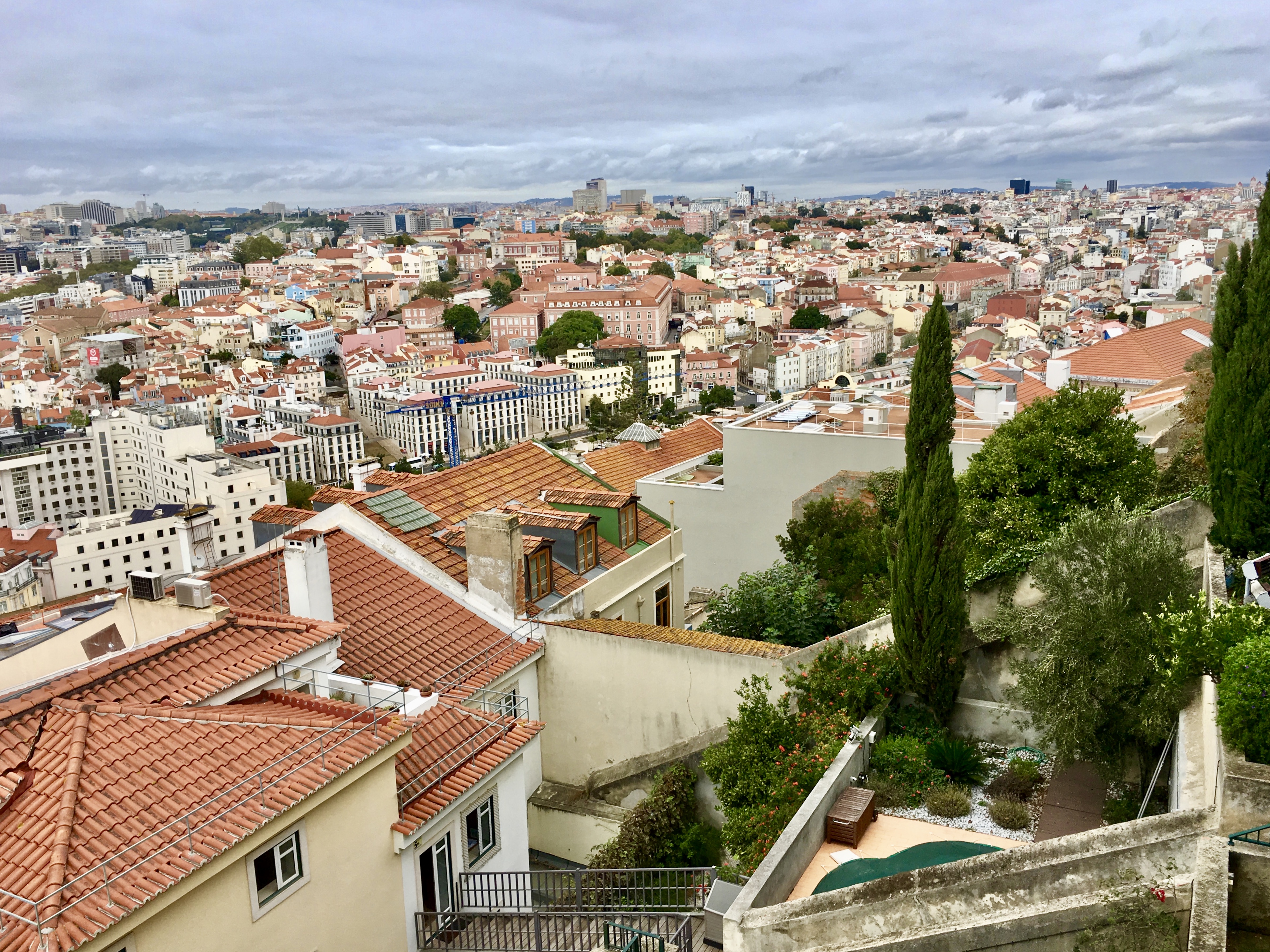 fullsizeoutput_1a950