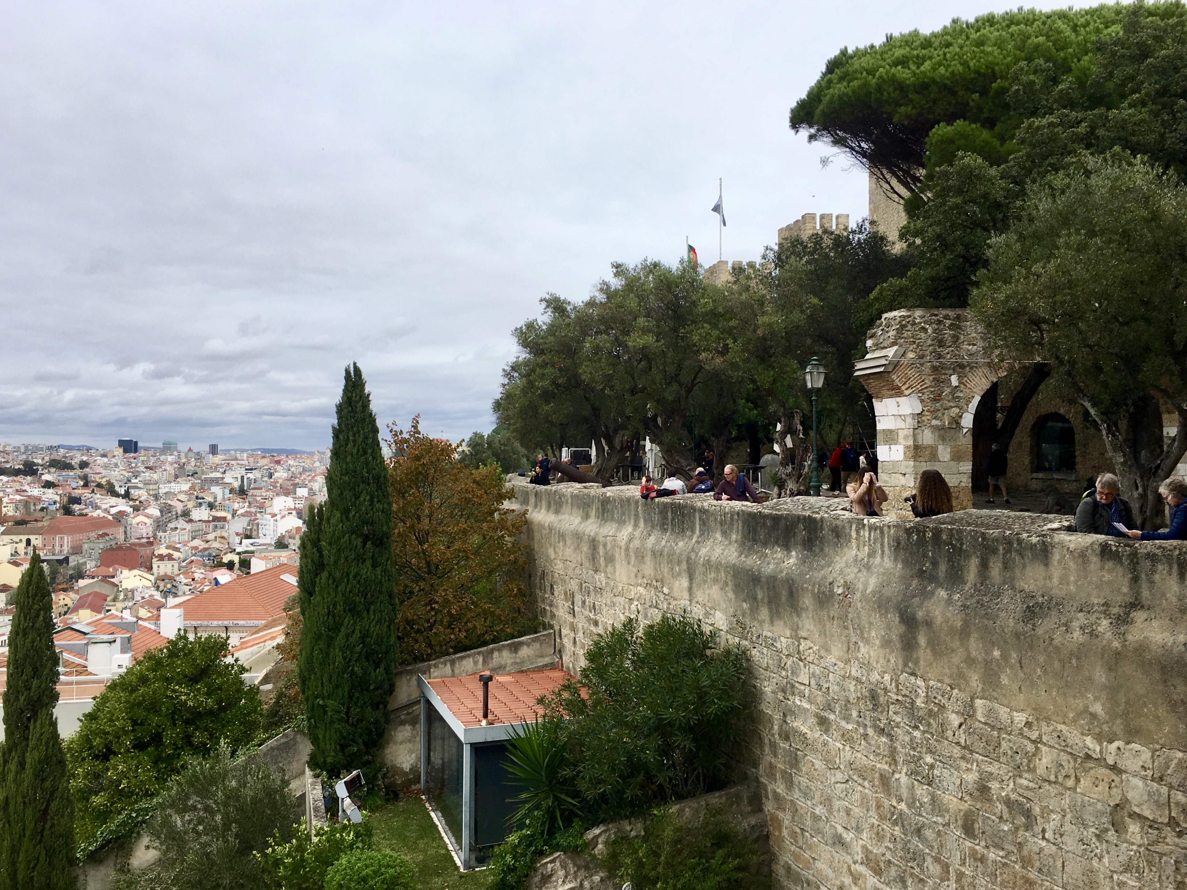 fullsizeoutput_1a954