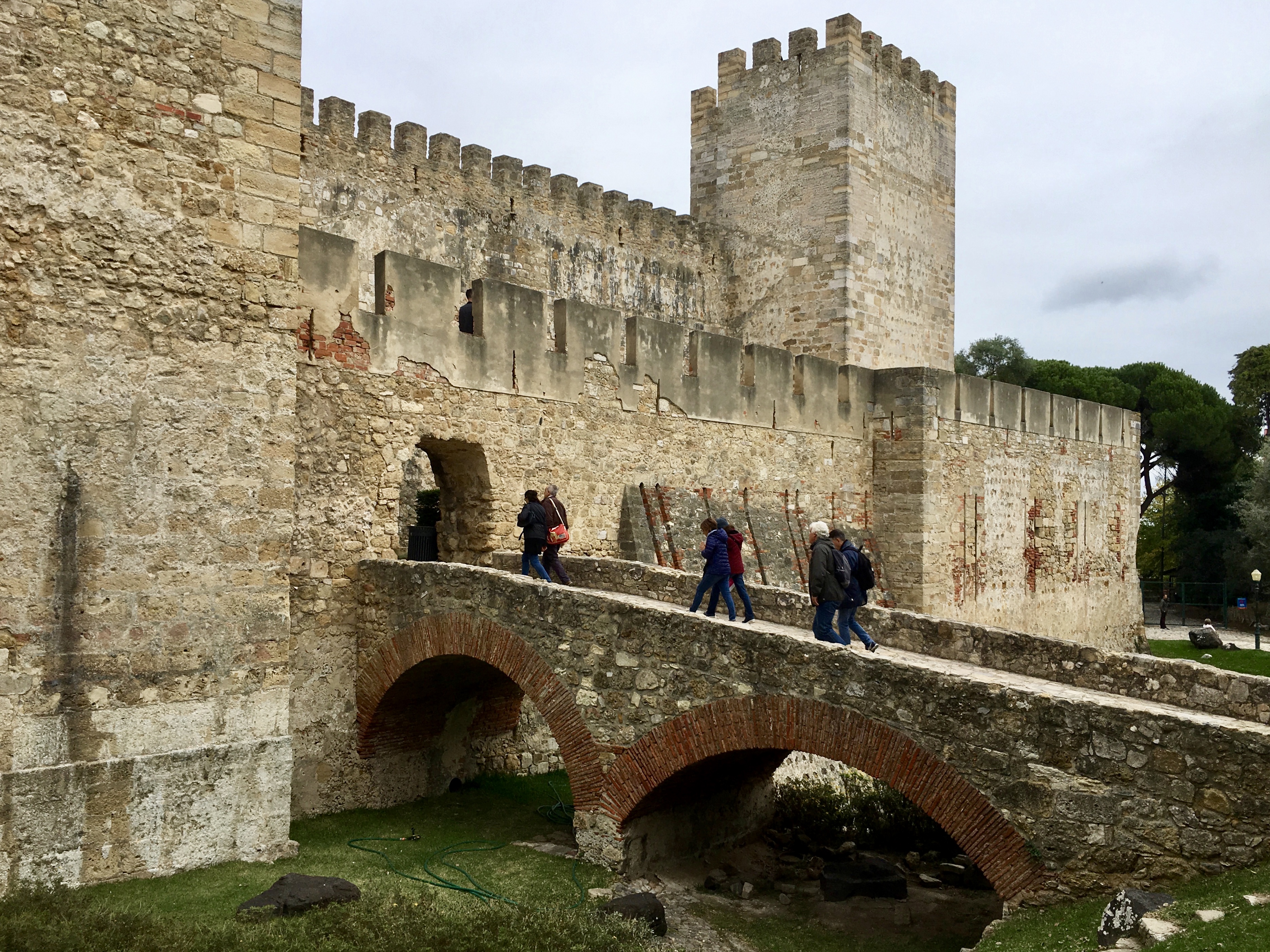 fullsizeoutput_1a964