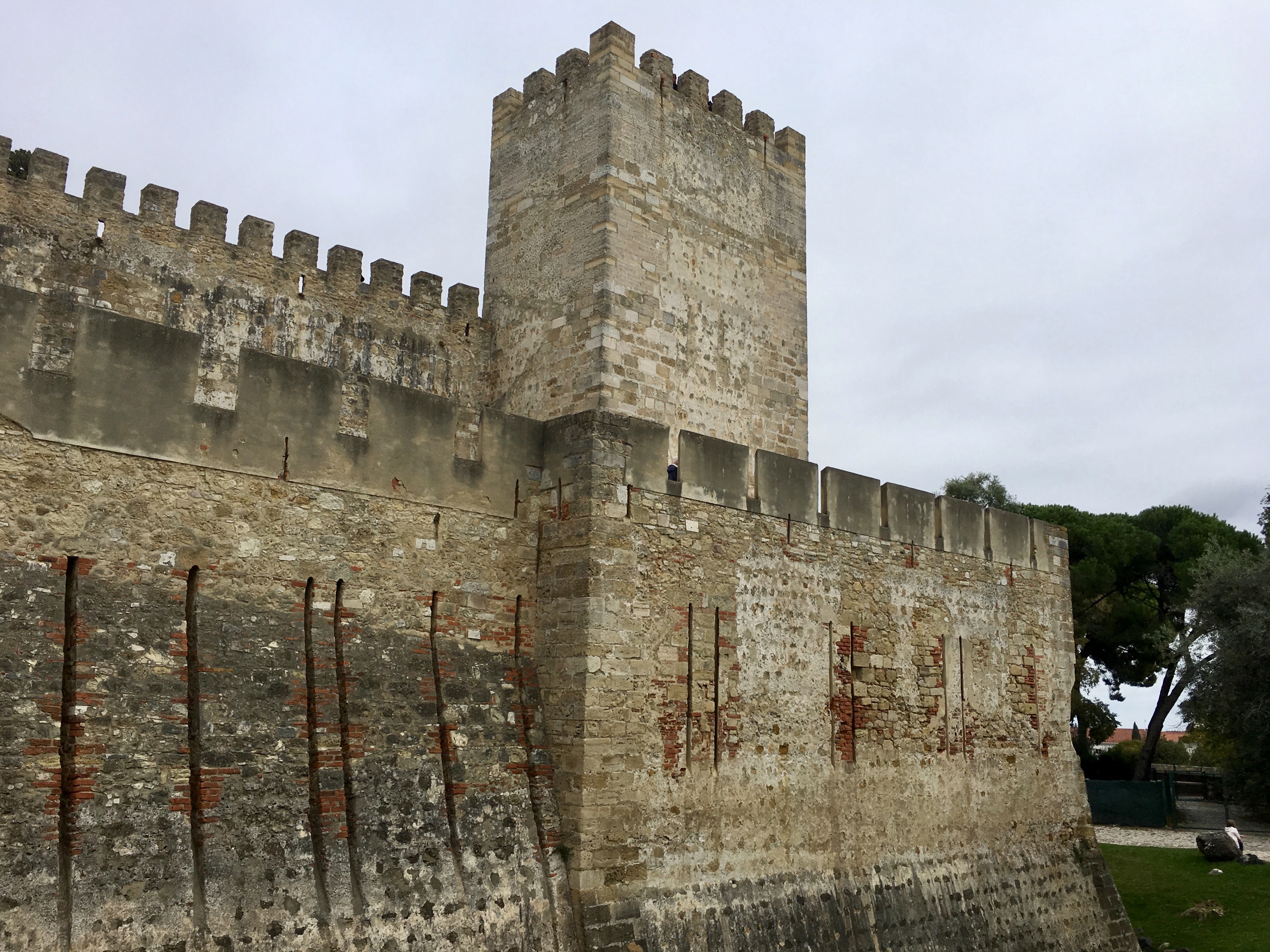 fullsizeoutput_1a96a