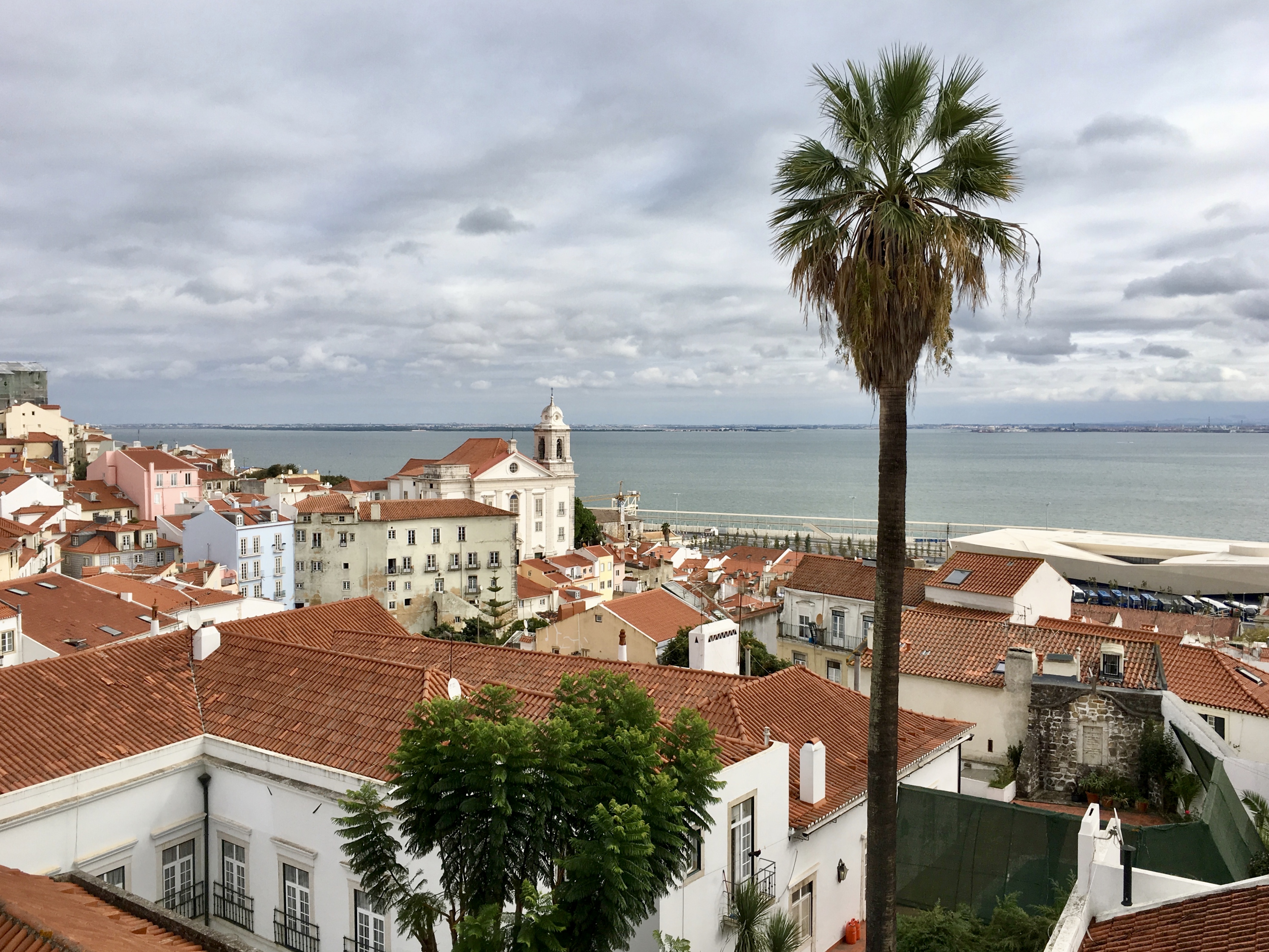 fullsizeoutput_1a9cb