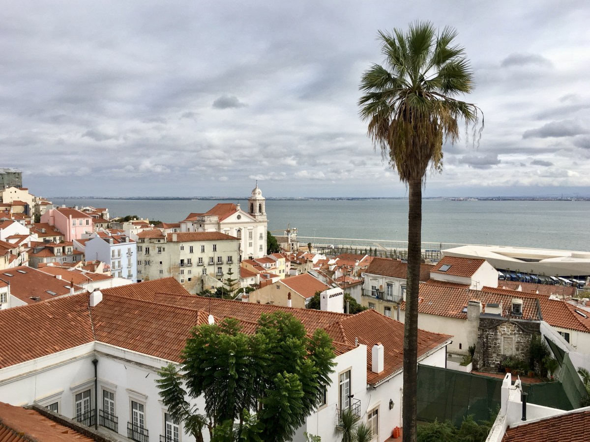 fullsizeoutput_1a9cb