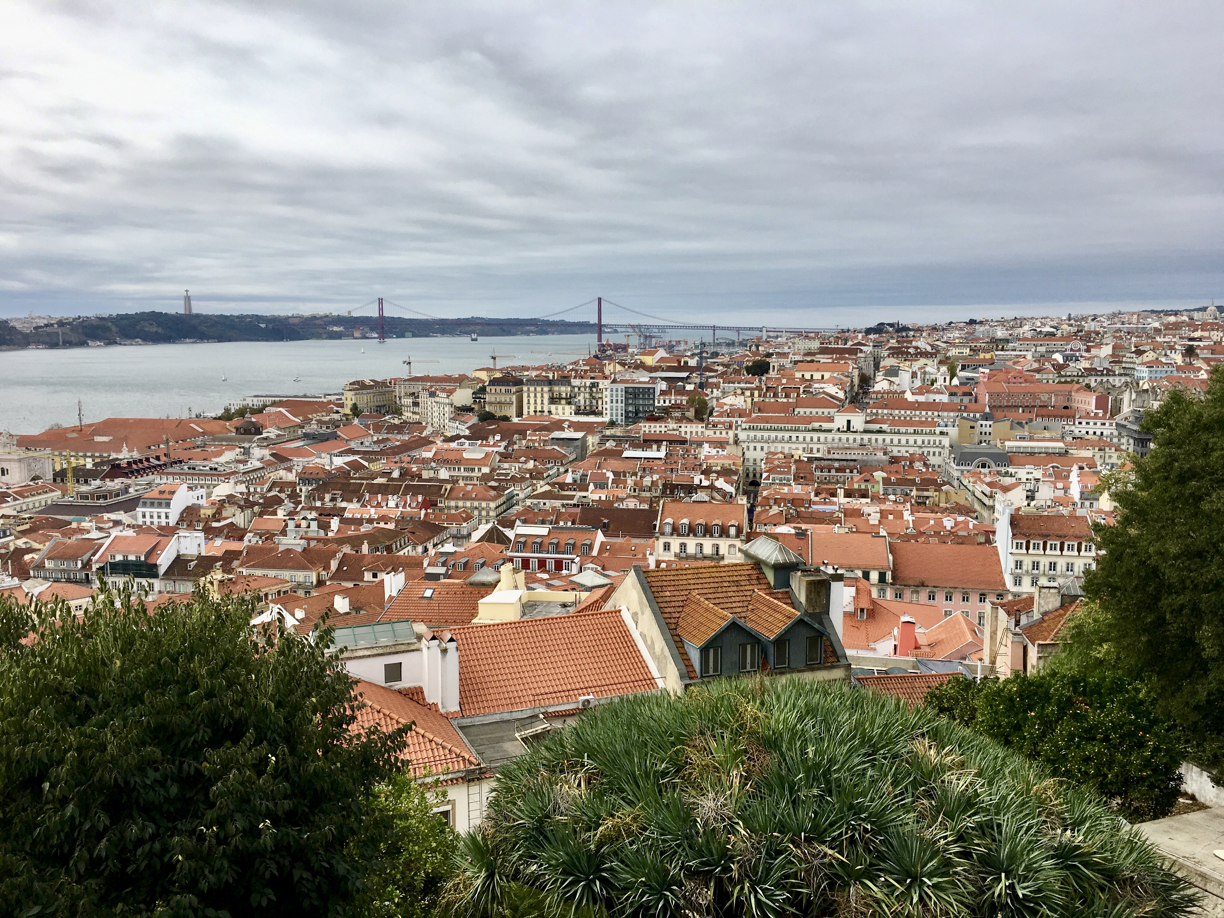 fullsizeoutput_1aa19