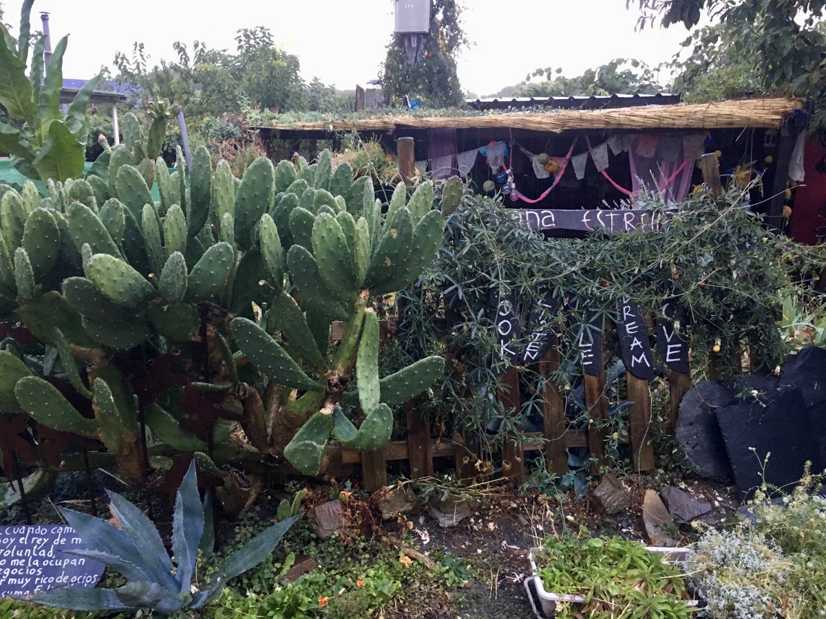 fullsizeoutput_1aa3e