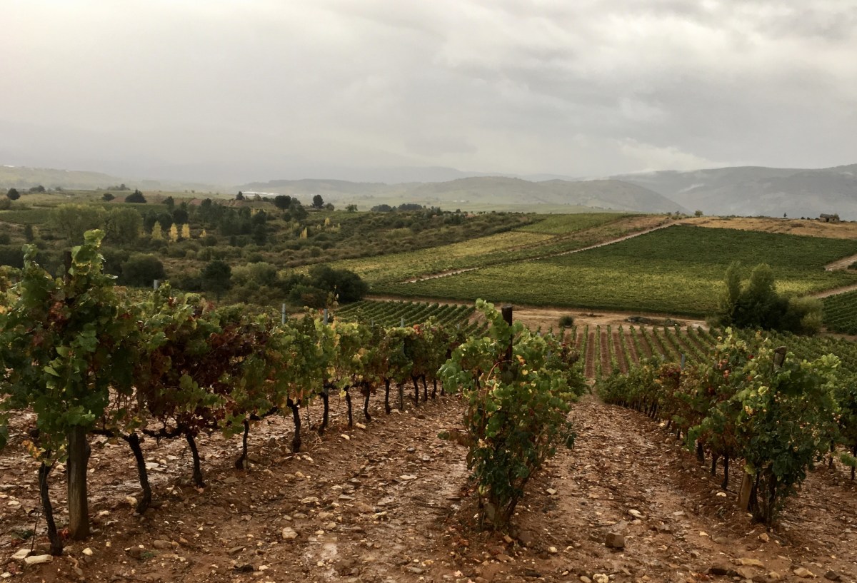 fullsizeoutput_1aa48