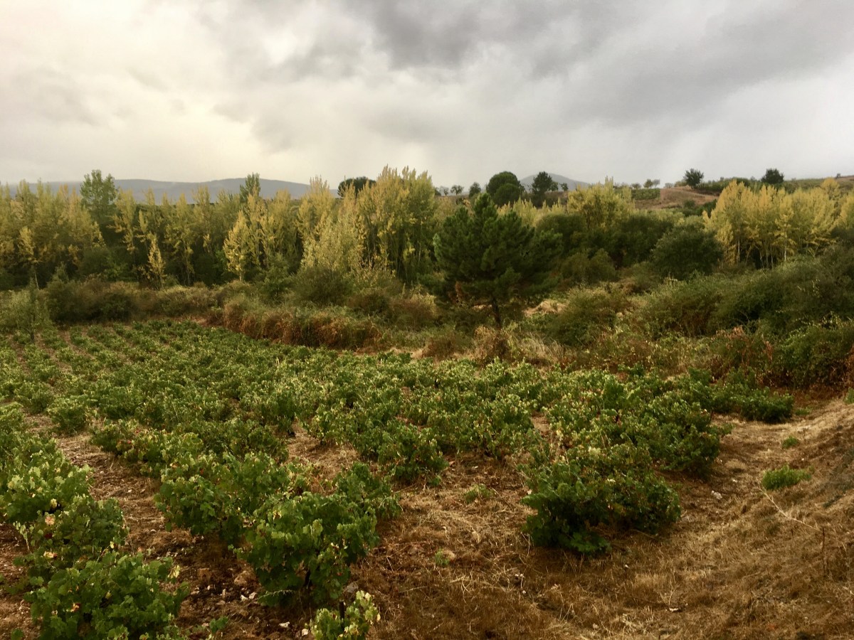 fullsizeoutput_1aa4e