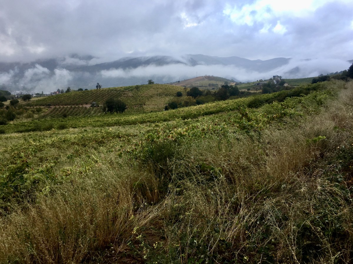 fullsizeoutput_1aa61