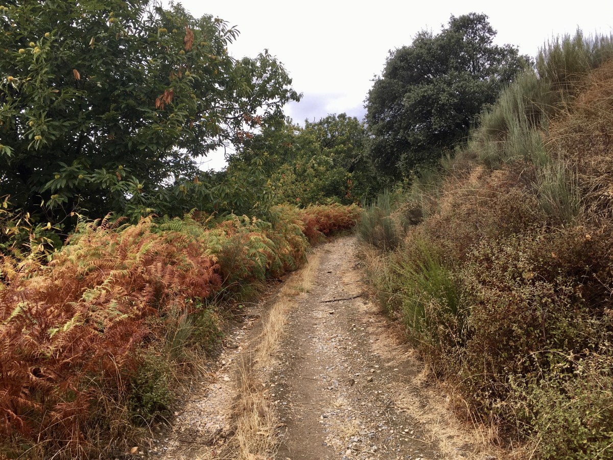 fullsizeoutput_1aa8f