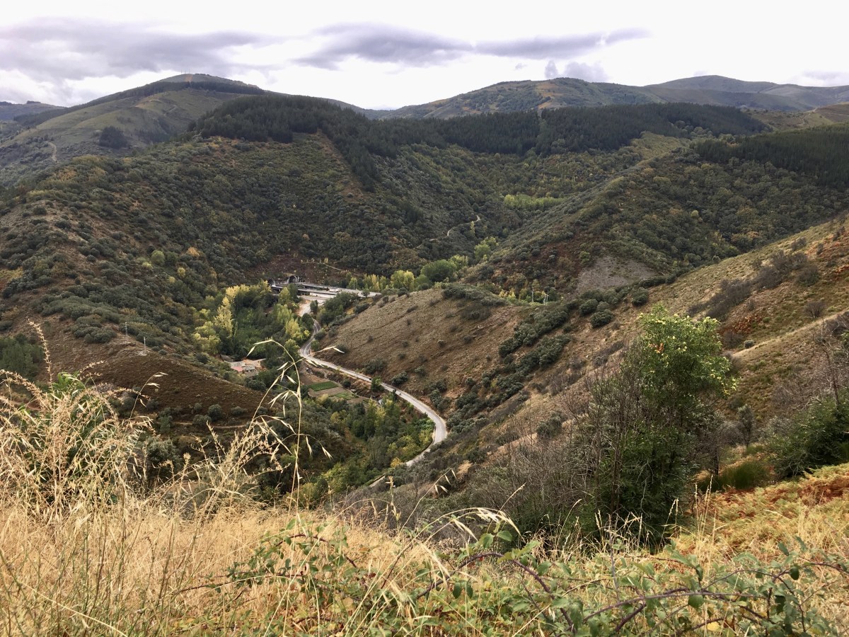 fullsizeoutput_1aa97