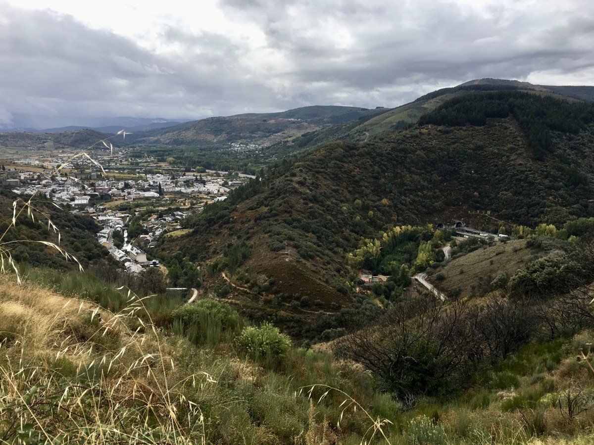 fullsizeoutput_1aa9d