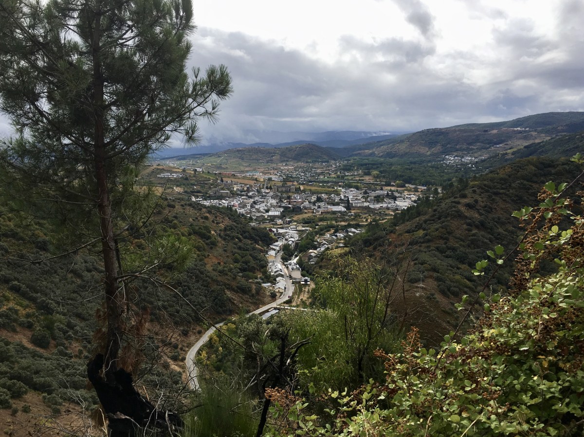 fullsizeoutput_1aa9f