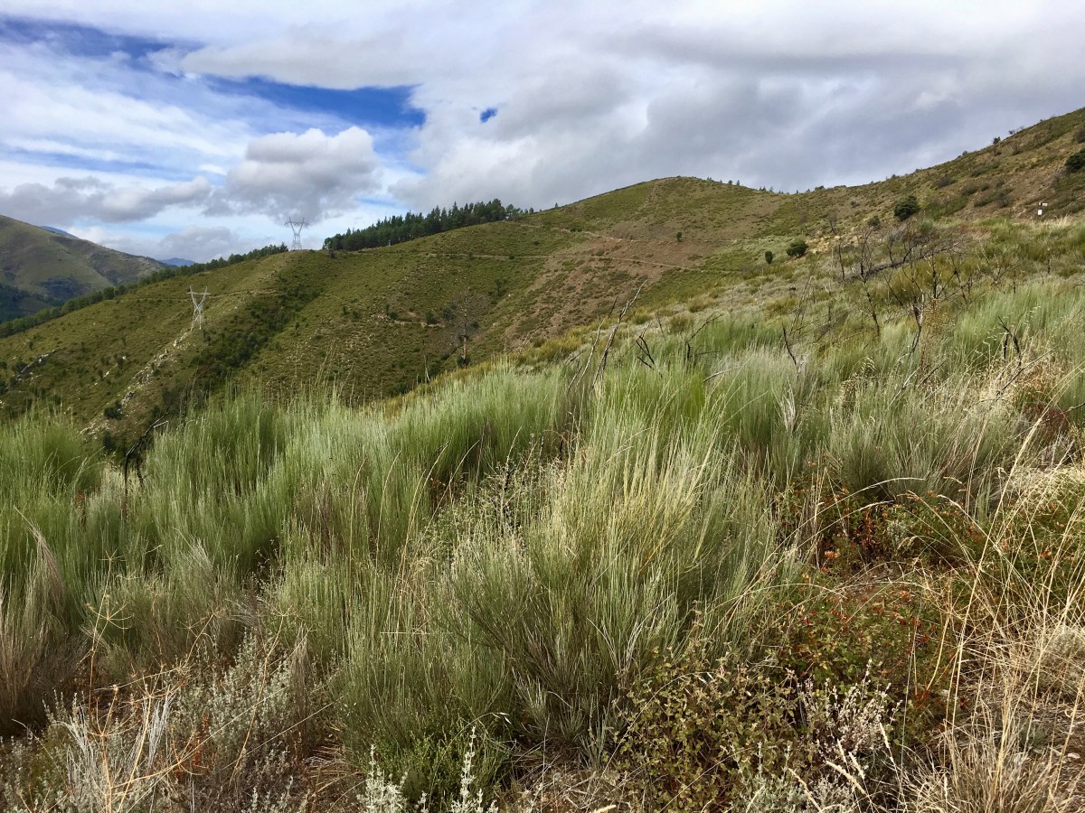 fullsizeoutput_1aaa3