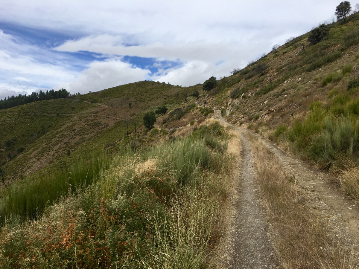 fullsizeoutput_1aaa4