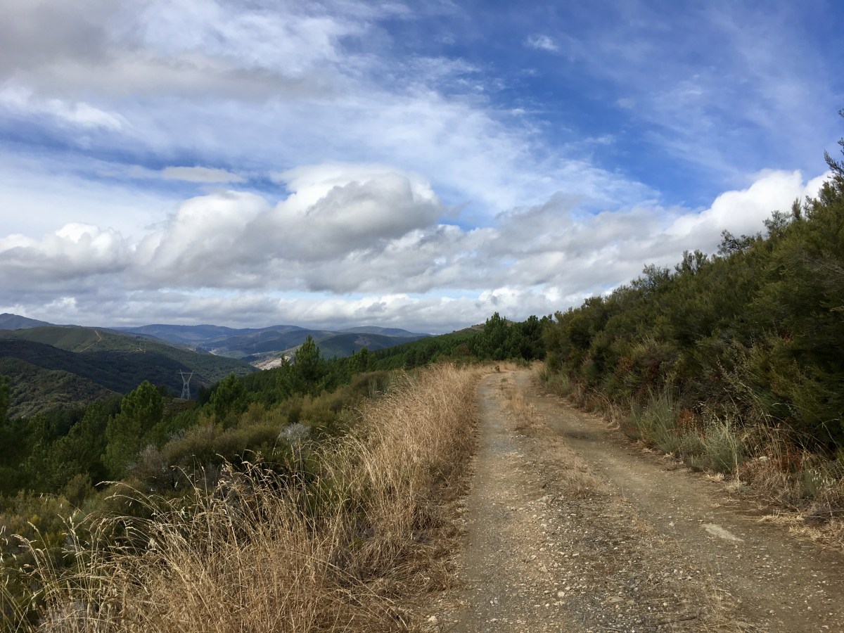 fullsizeoutput_1aaa9