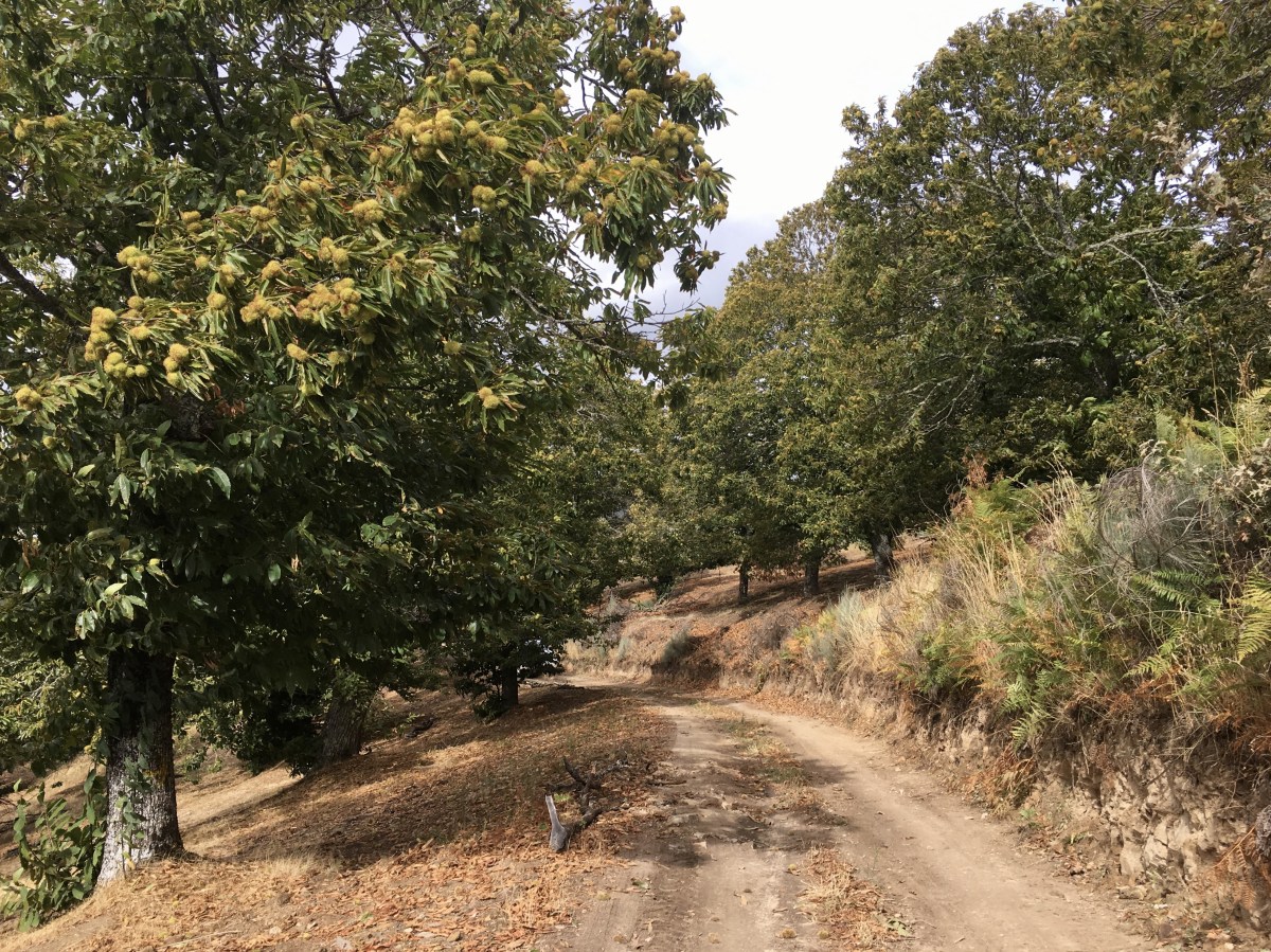 fullsizeoutput_1aaaa