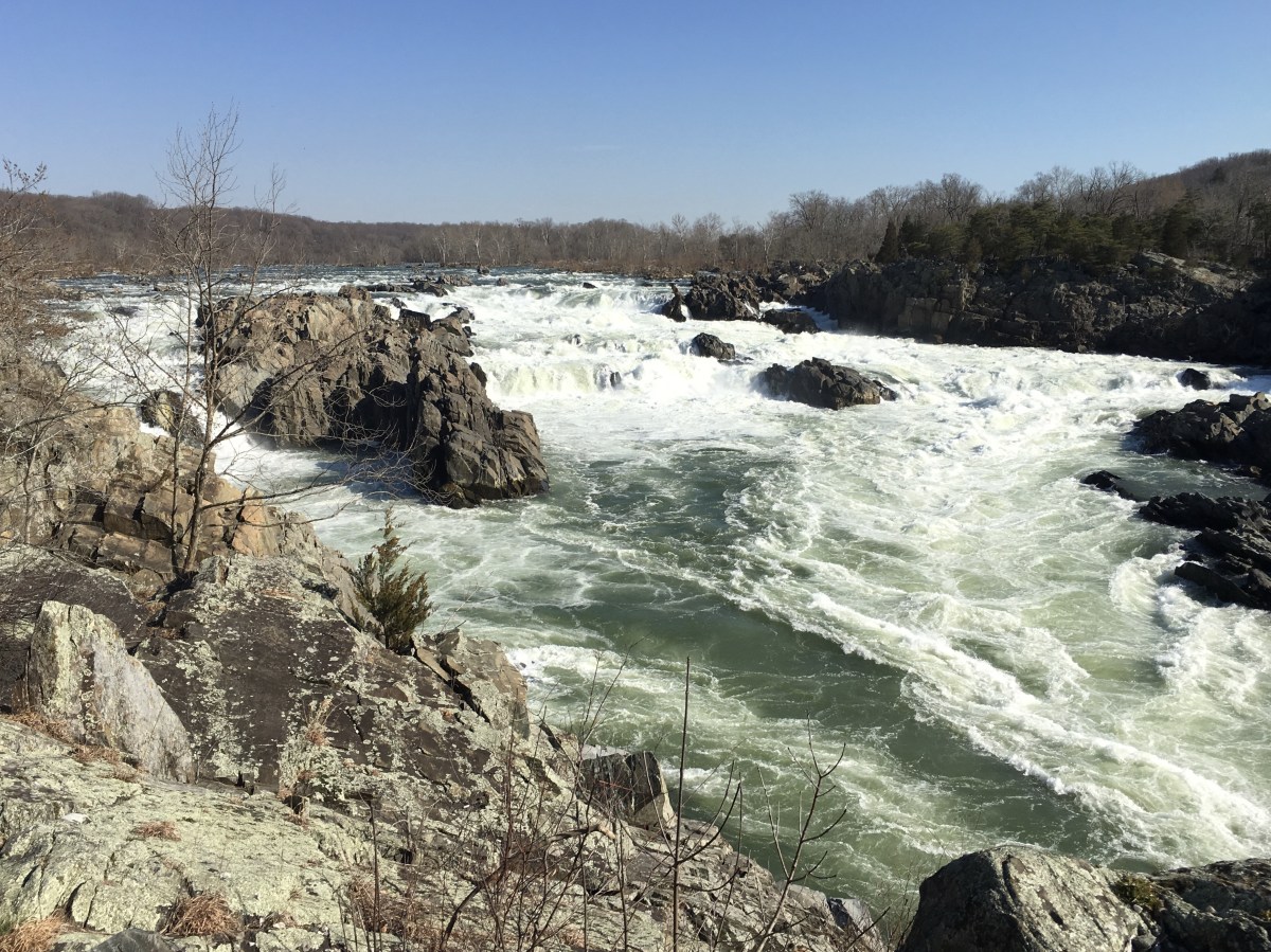 fullsizeoutput_1aacf