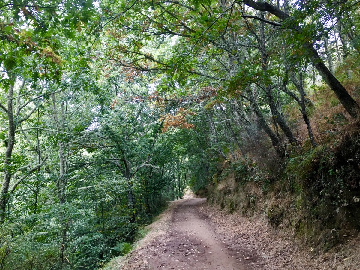 fullsizeoutput_1ab42