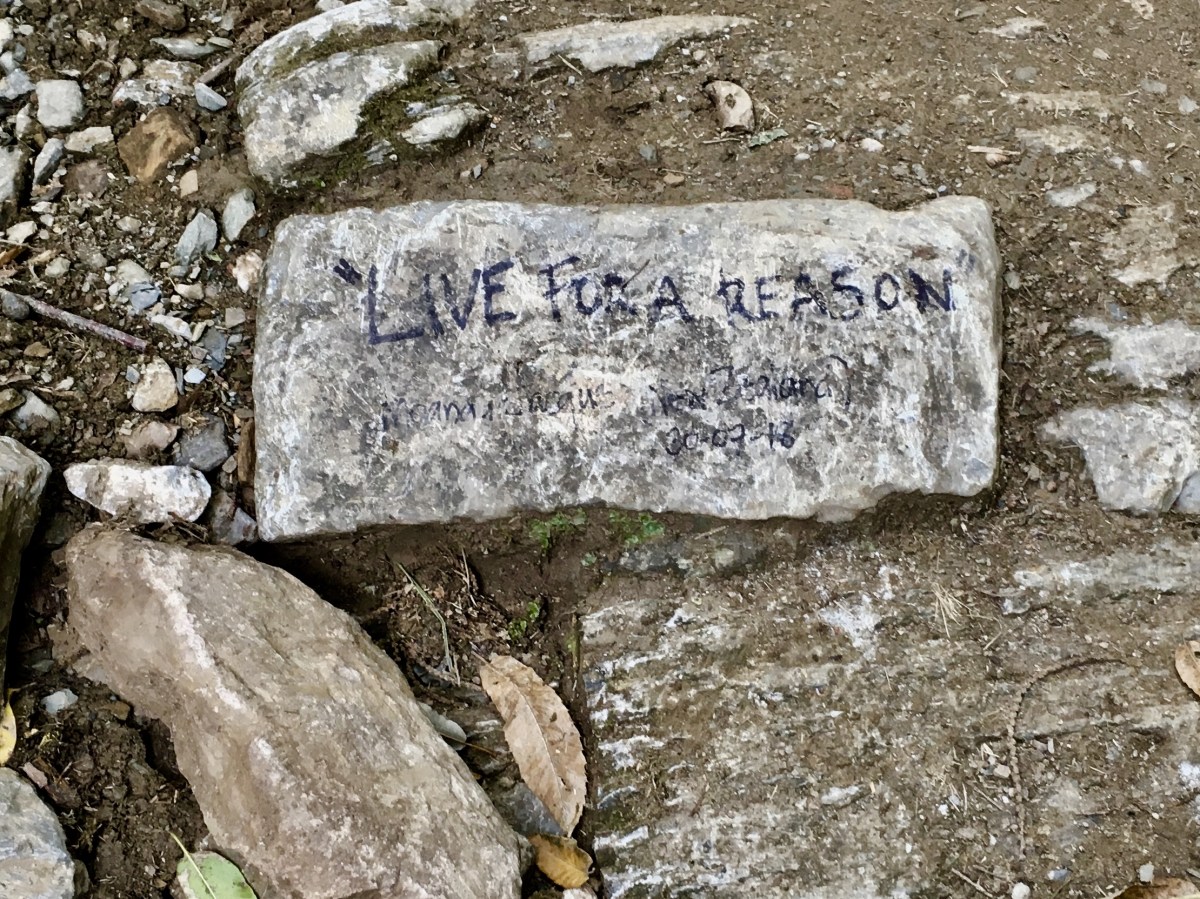 fullsizeoutput_1ab44