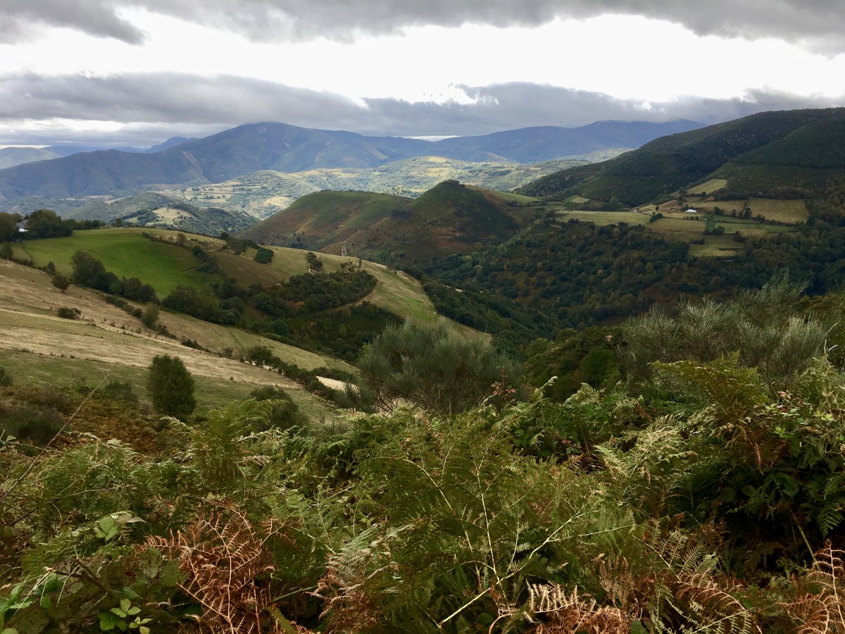 fullsizeoutput_1ab53