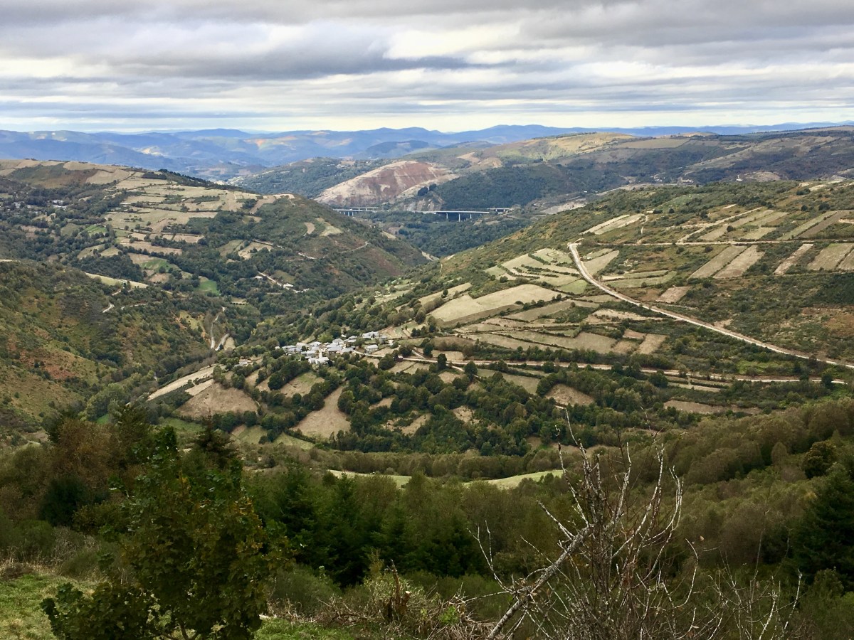 fullsizeoutput_1ab6f