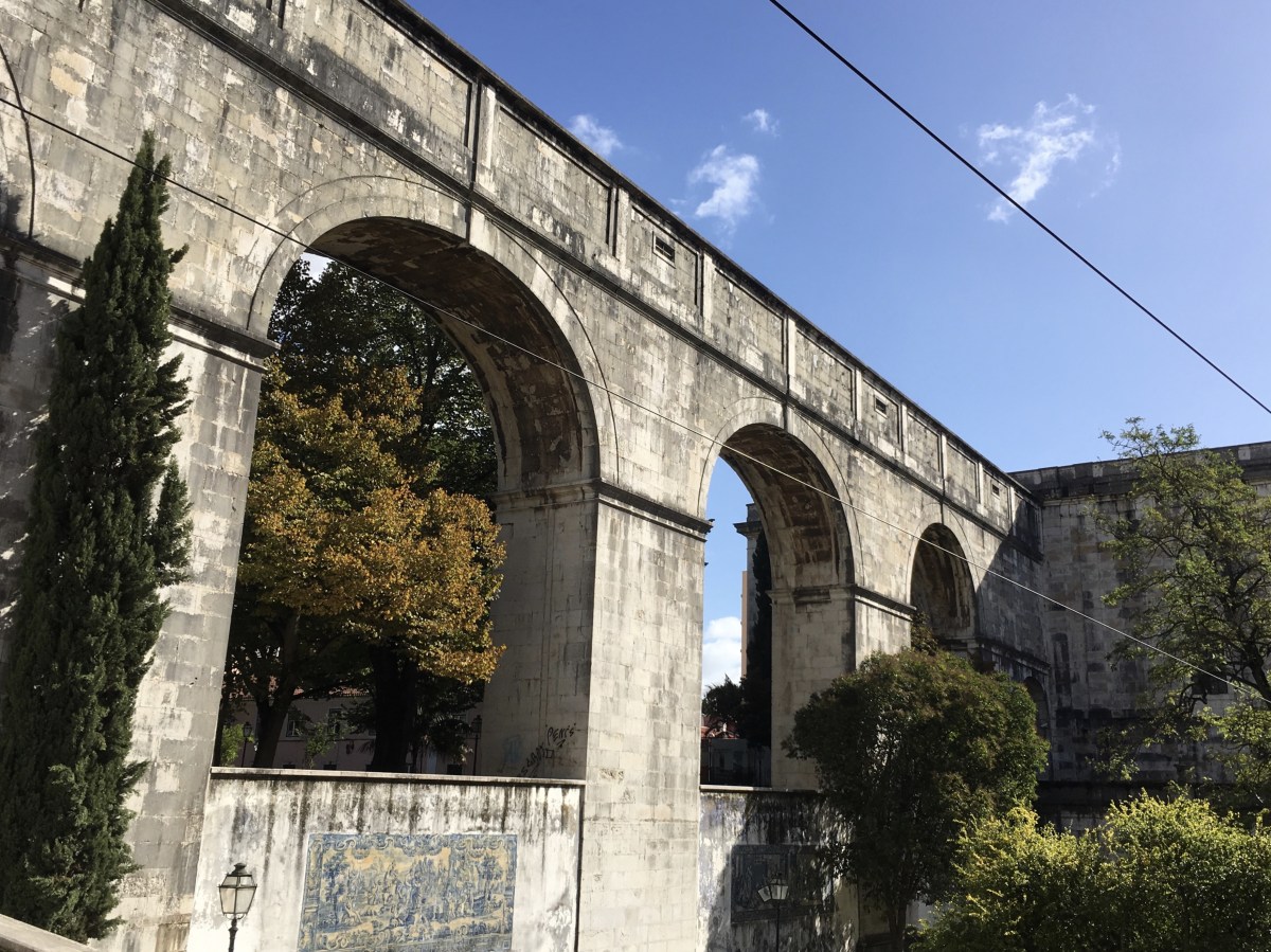 fullsizeoutput_1aba8