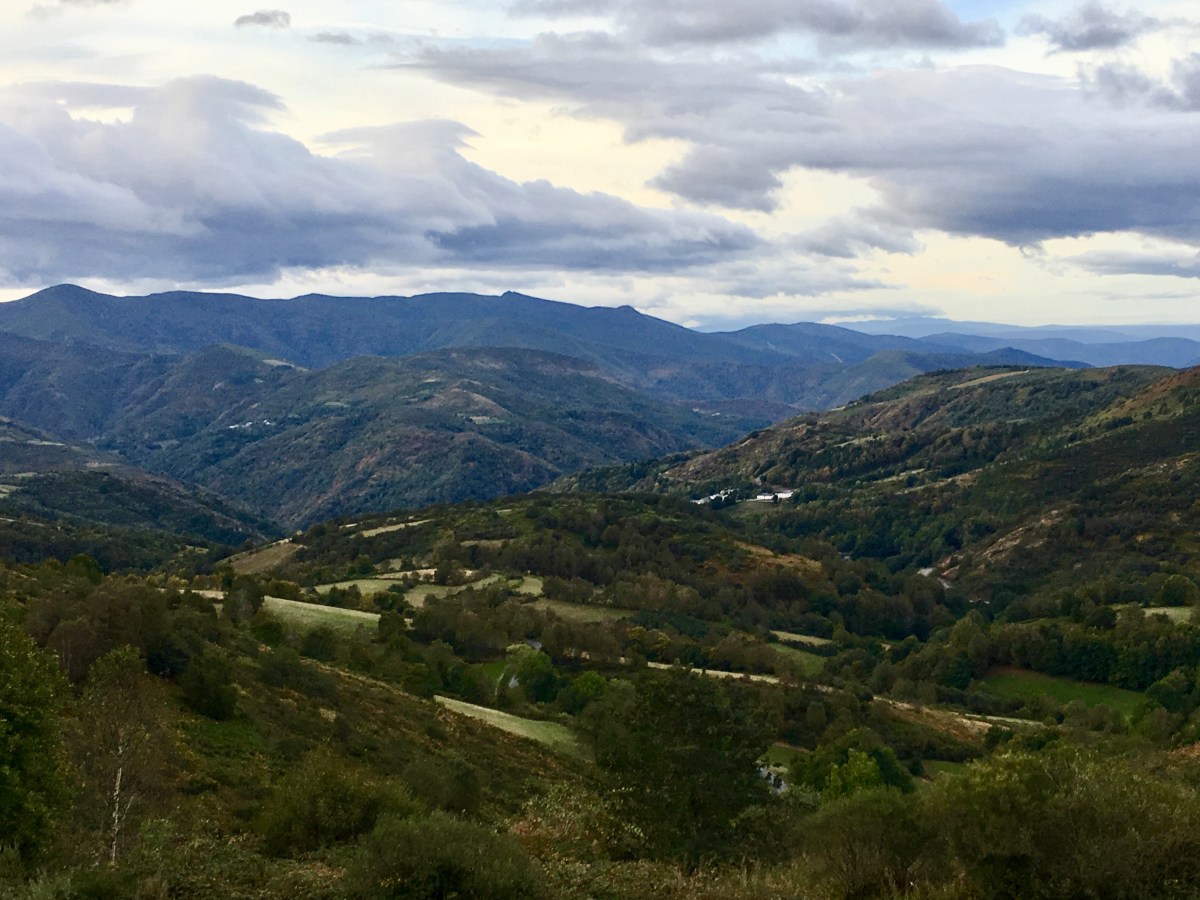 fullsizeoutput_1ad16