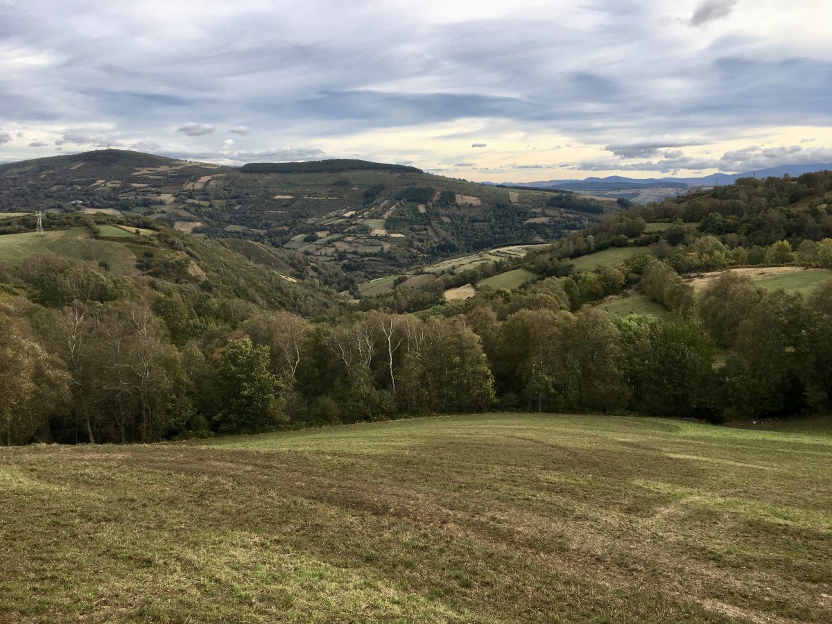 fullsizeoutput_1ad22