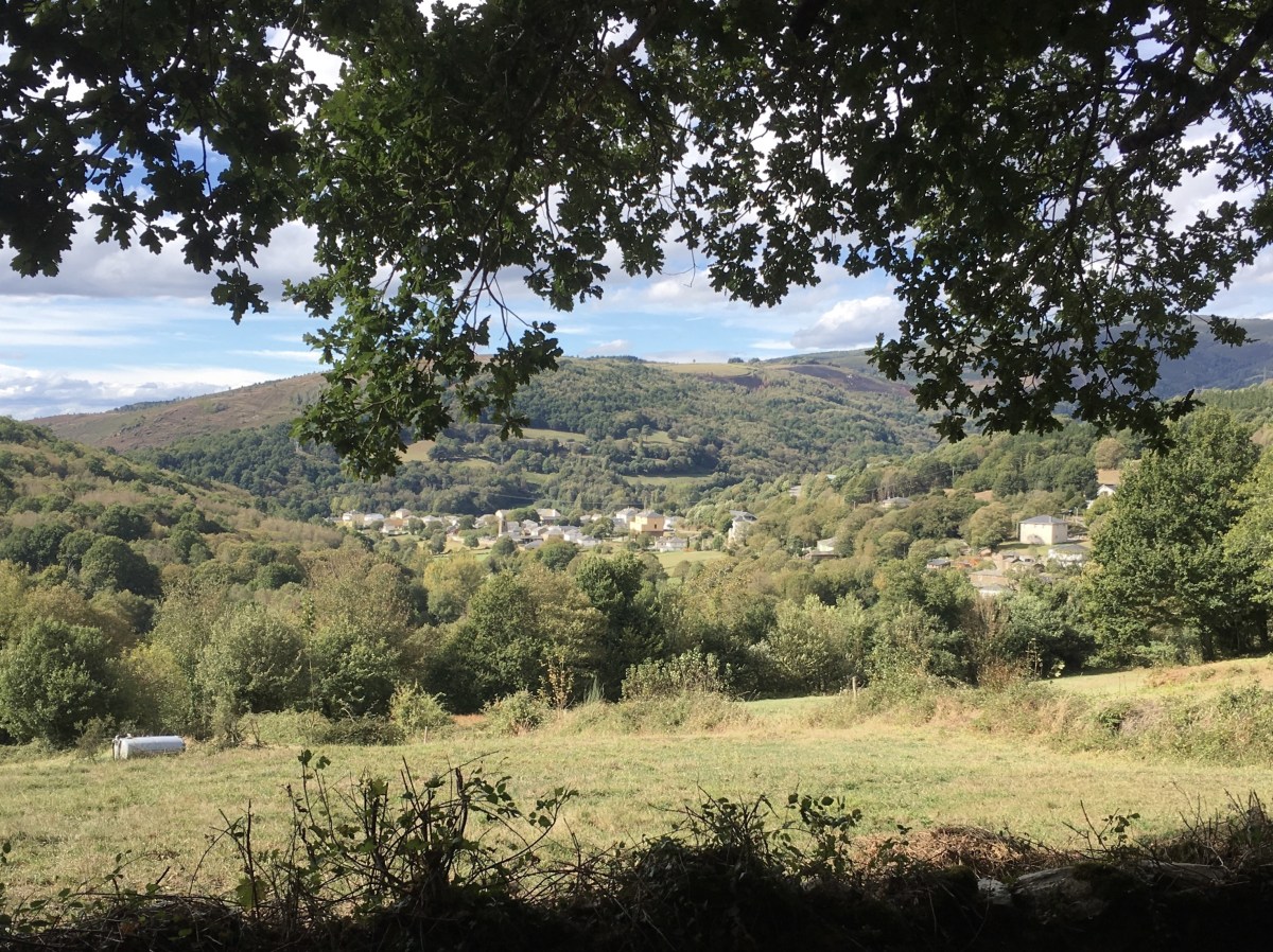 fullsizeoutput_1ad44