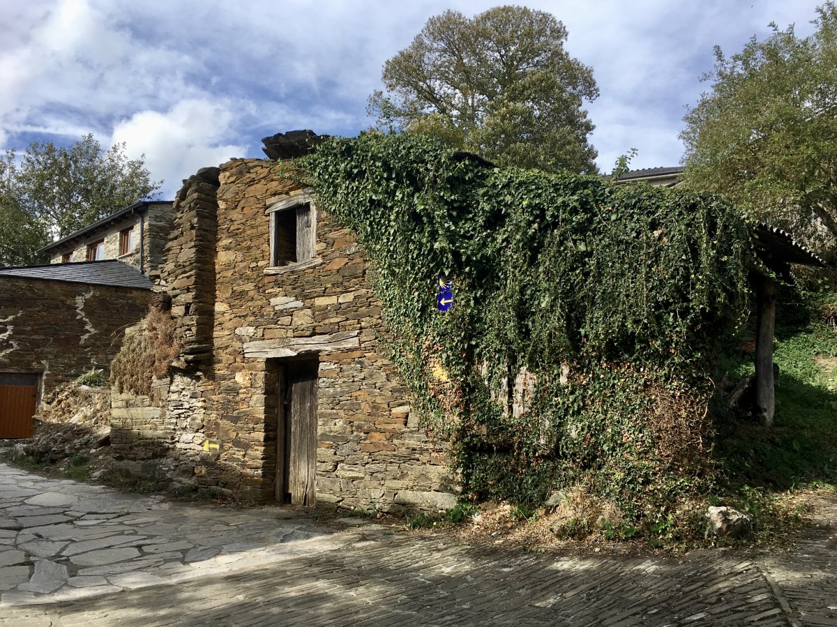 fullsizeoutput_1ad46