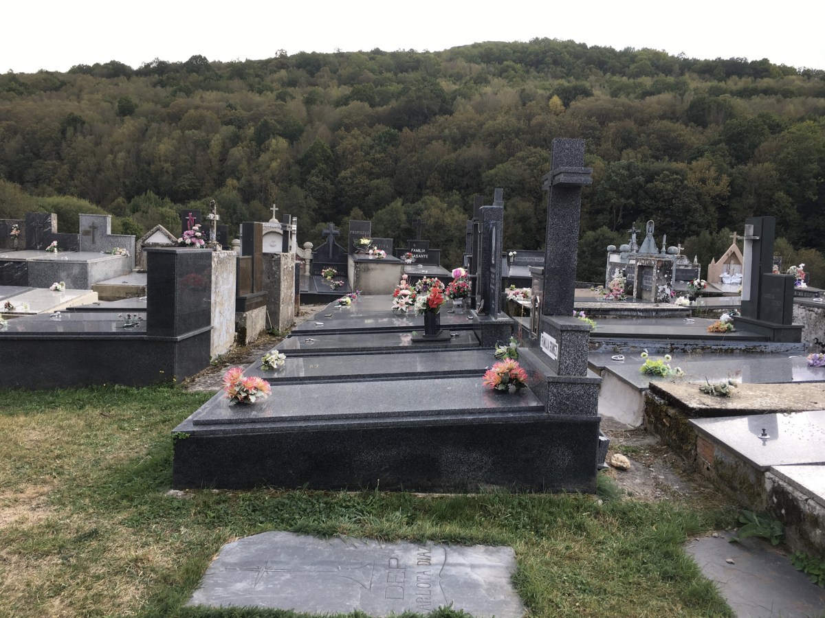 fullsizeoutput_1ad4e