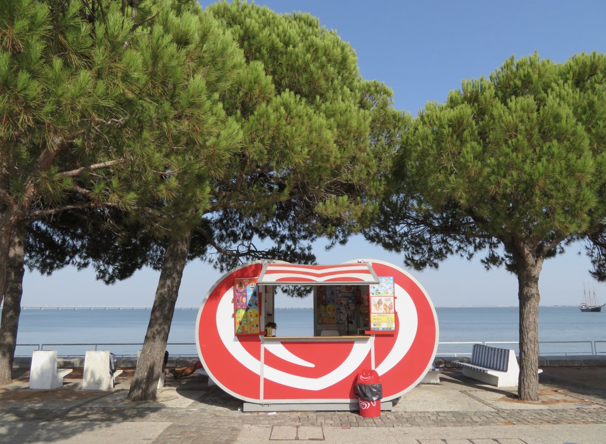 fullsizeoutput_16543