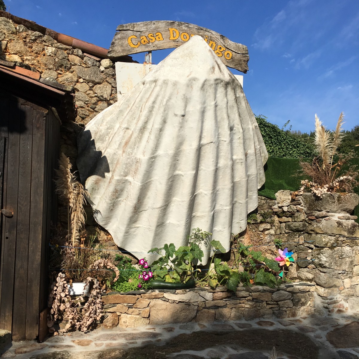 fullsizeoutput_16907