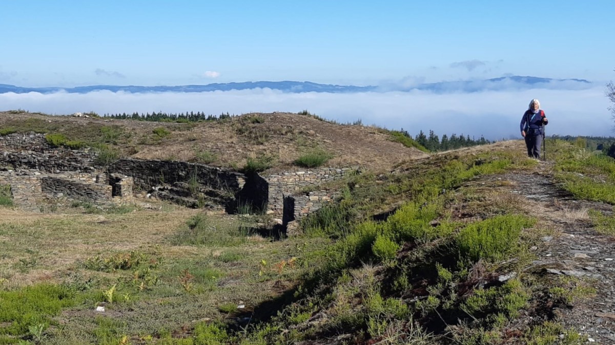 fullsizeoutput_16910