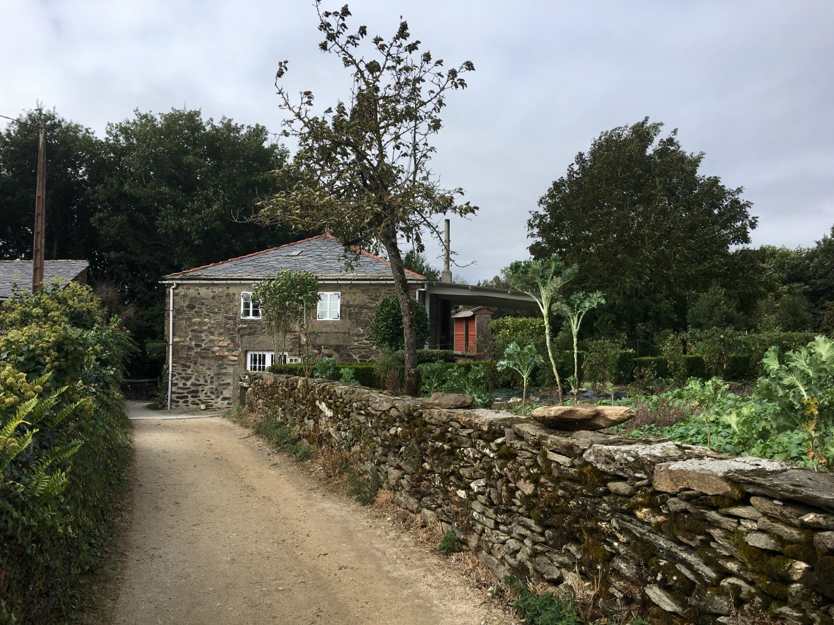 fullsizeoutput_16951