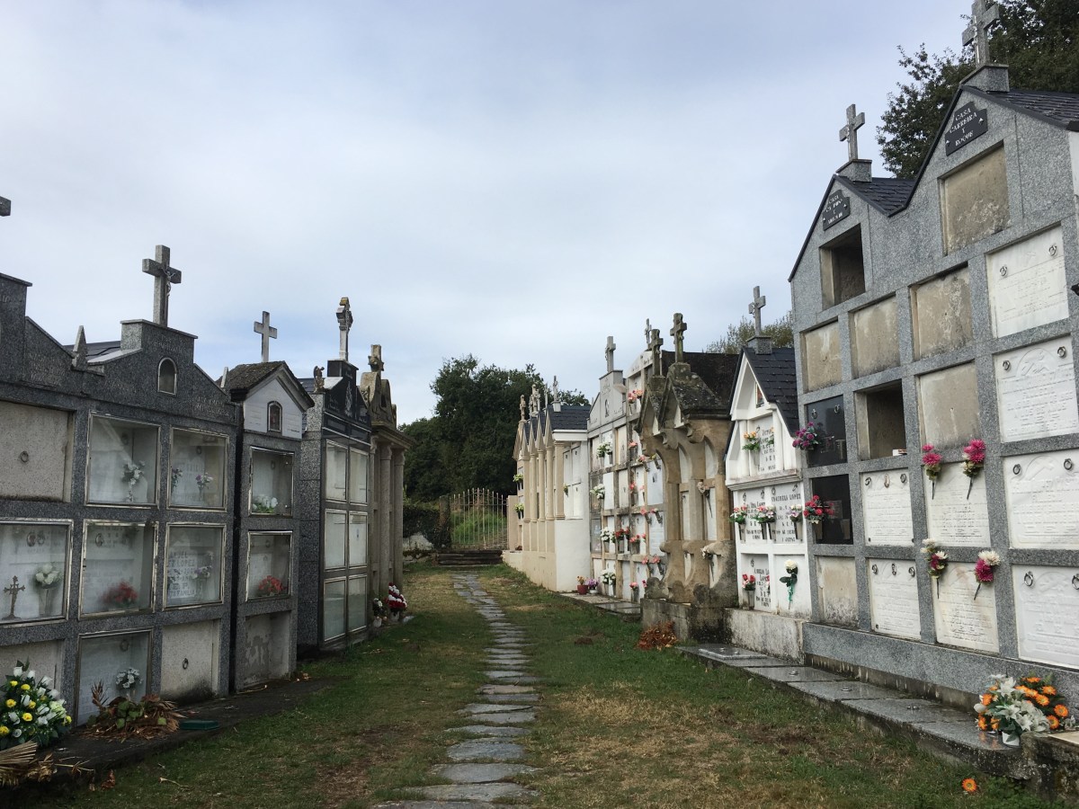 fullsizeoutput_16953