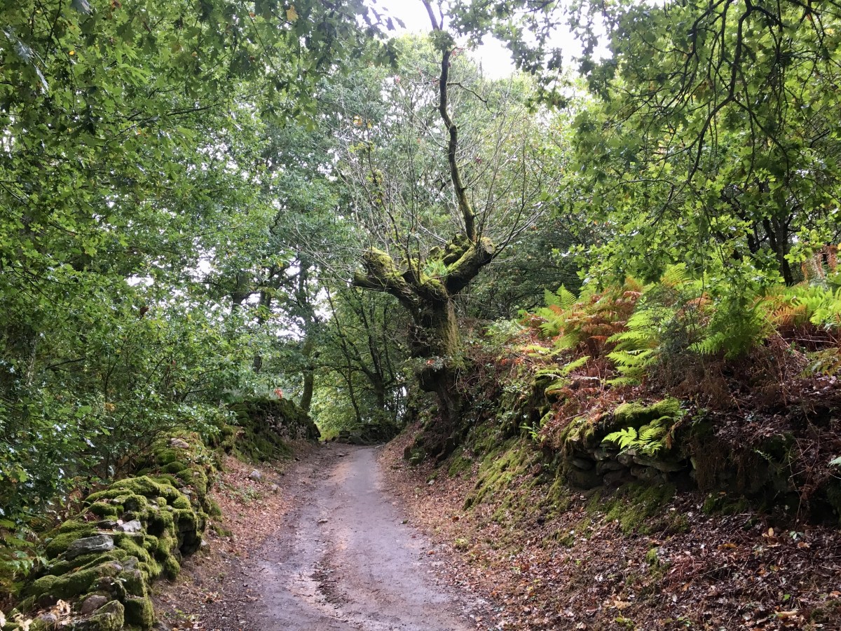 fullsizeoutput_1695f