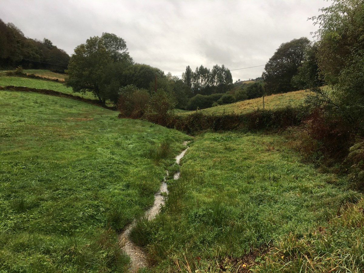 fullsizeoutput_16981