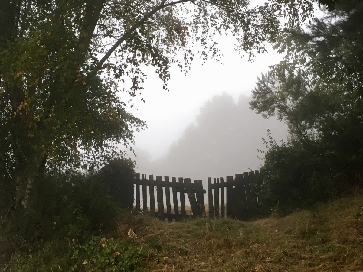 fullsizeoutput_16989