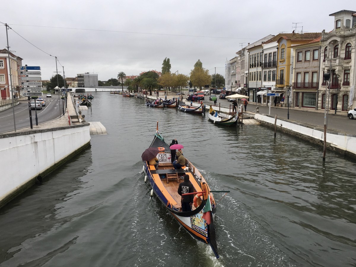 fullsizeoutput_1886f