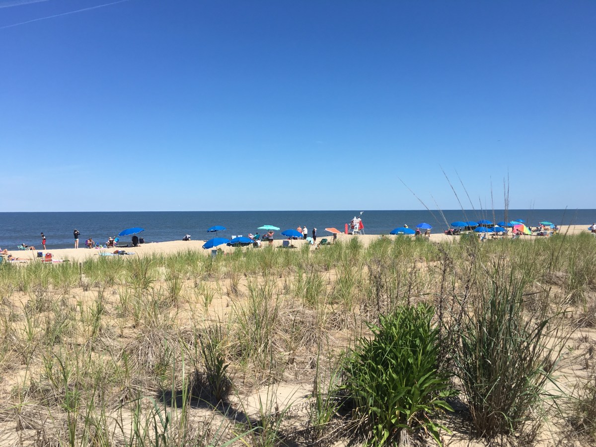 fullsizeoutput_18c60