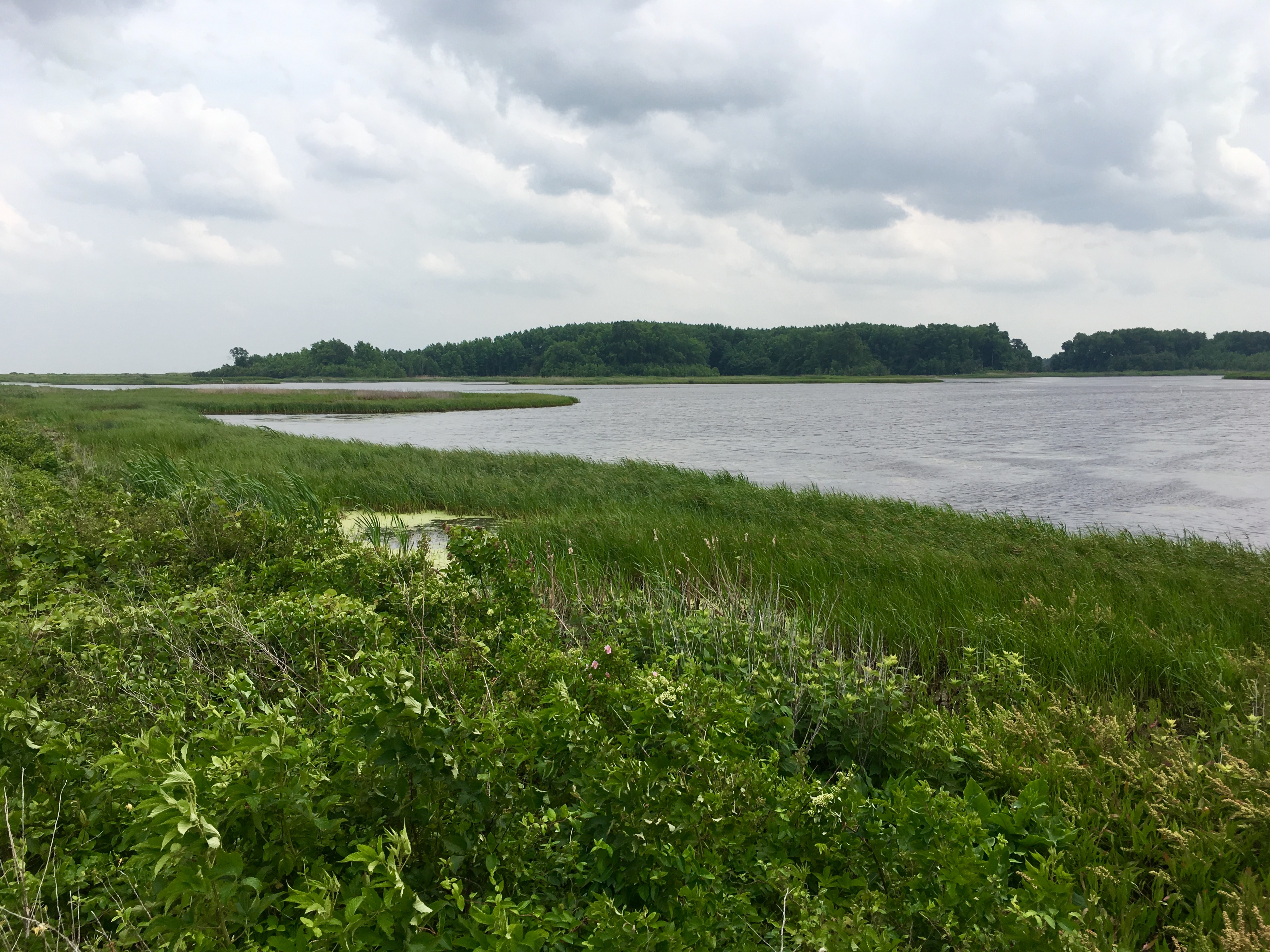 fullsizeoutput_18ccb