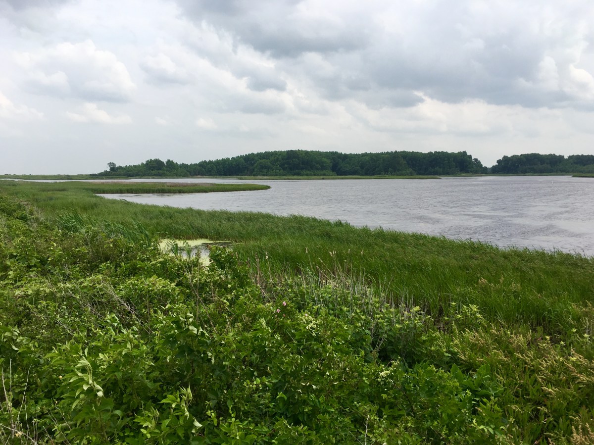 fullsizeoutput_18ccb