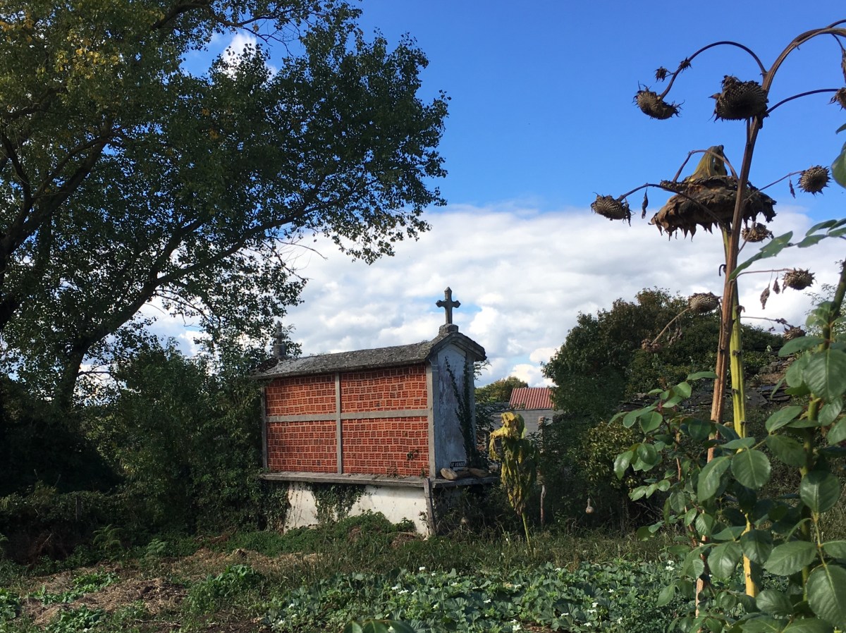 fullsizeoutput_19203