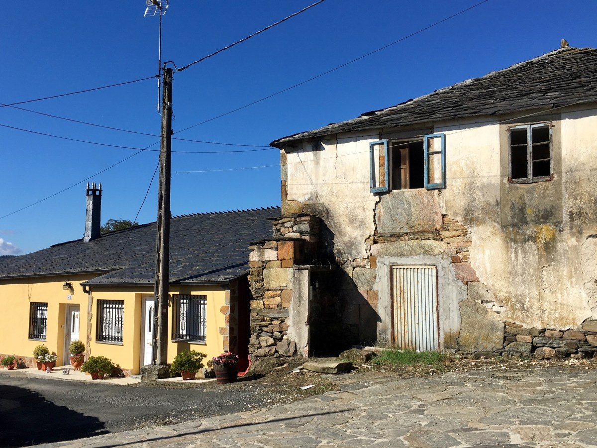 fullsizeoutput_19204