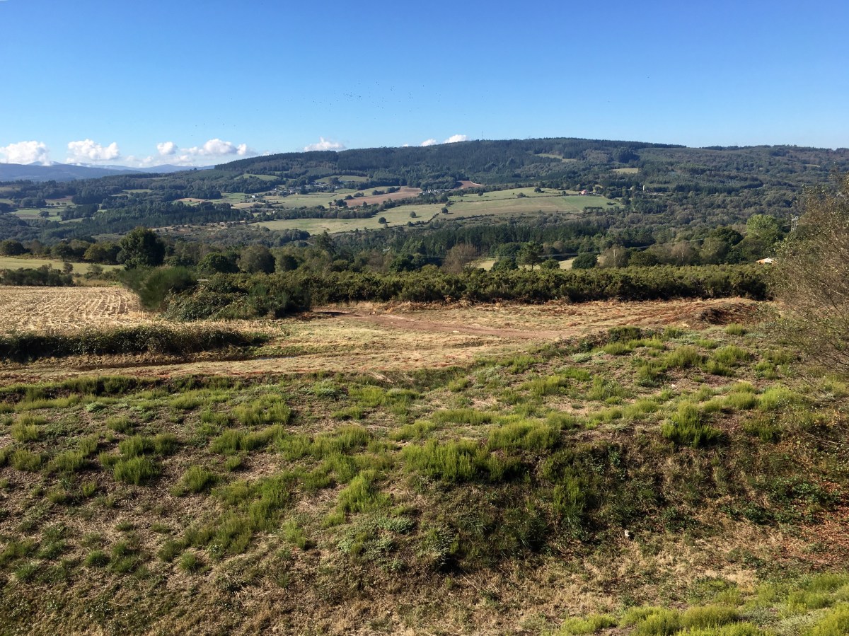 fullsizeoutput_19216