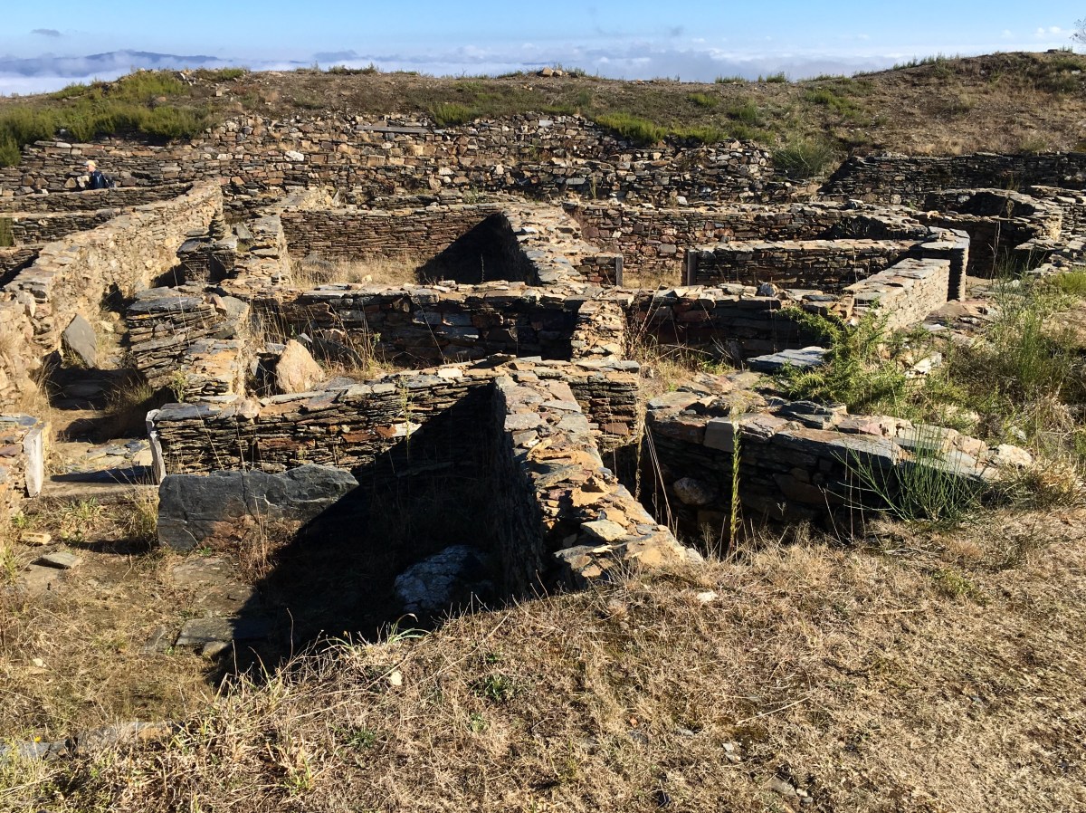 fullsizeoutput_19218