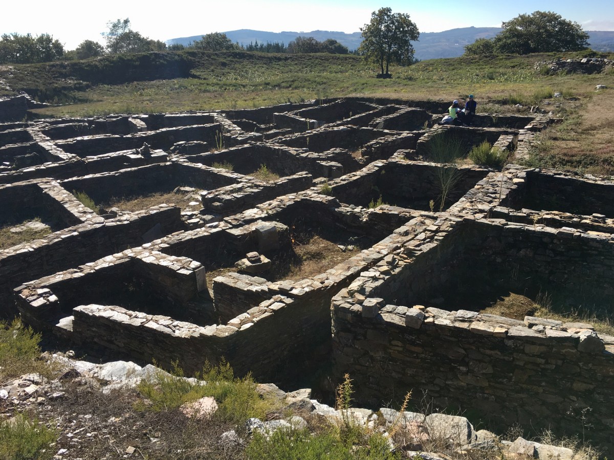 fullsizeoutput_19223